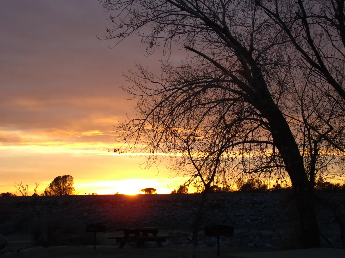 Sunset over Folsom Lake with a bare tree in silhouette