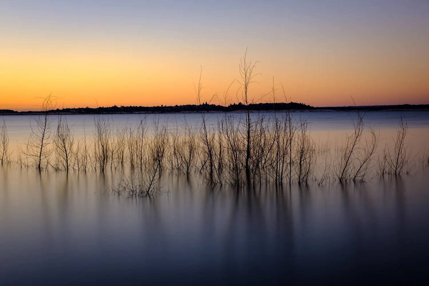 Sunset over Folsom Lake near Folsom Point with calm water and silhouetted reeds